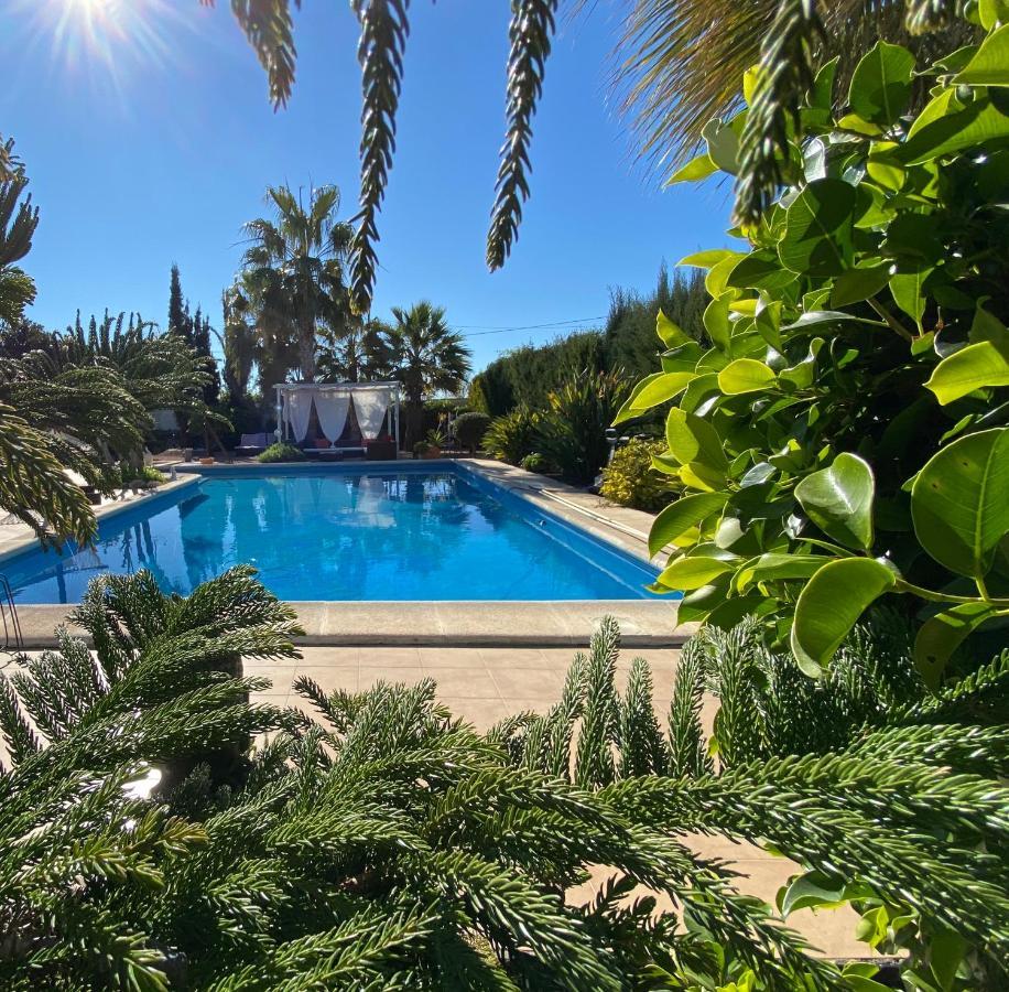 Vacaciones La Marina Costa Blanca Villa ภายนอก รูปภาพ